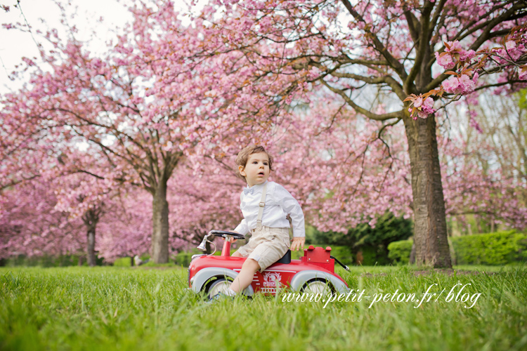 Photographe famille Sceaux - Séance photo cerisiers en fleurs