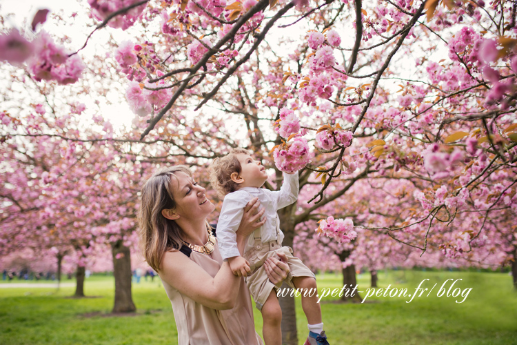 Photographe famille Sceaux - Séance photo cerisiers en fleurs