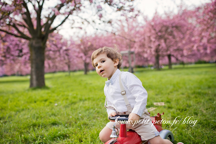 Photographe famille Sceaux - Séance photo cerisiers en fleurs