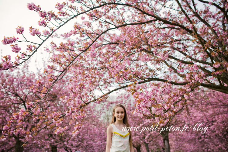 Photographe famille Sceaux - Séance photo cerisiers en fleurs